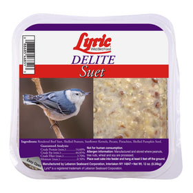 Lyric Delite high-protein suet cake in feeder attracting diverse backyard birds.