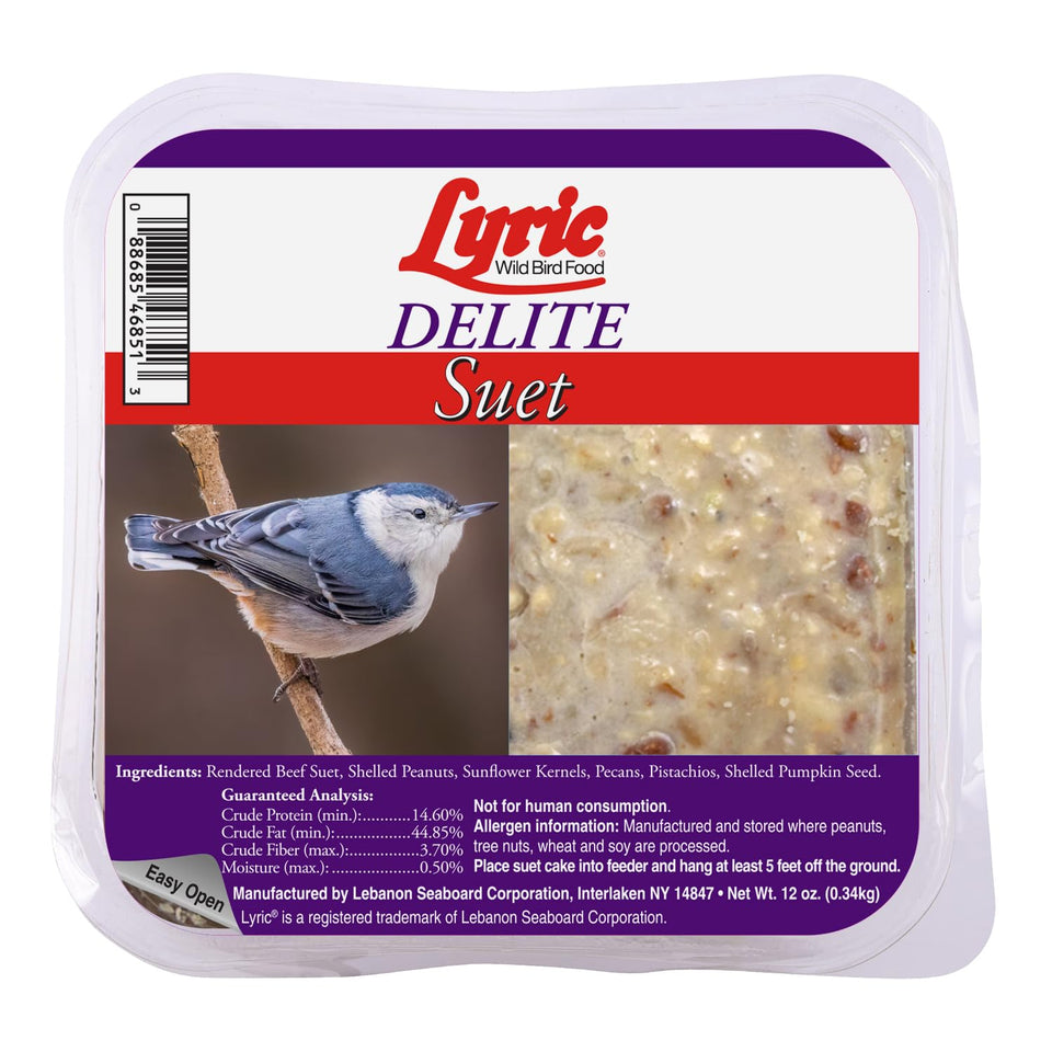 Lyric Delite high-protein suet cake in feeder attracting diverse backyard birds.