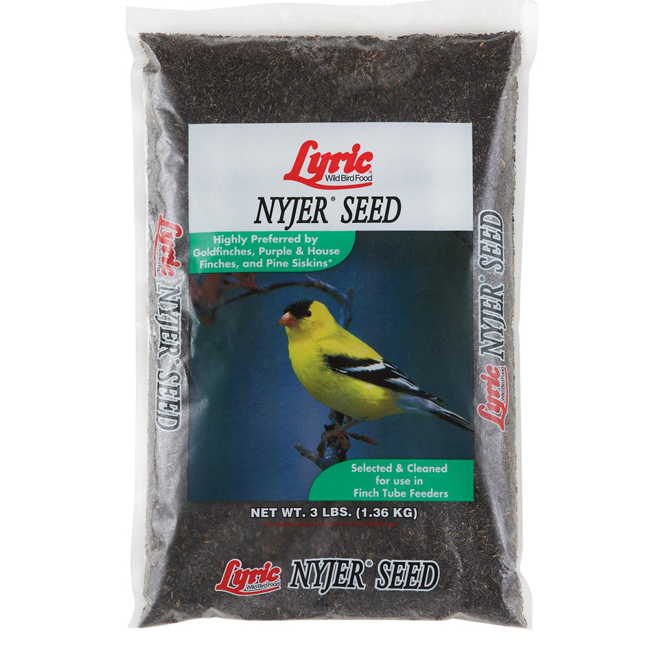 Lyric Nyjer Seed bag closeup for safe backyard feeding