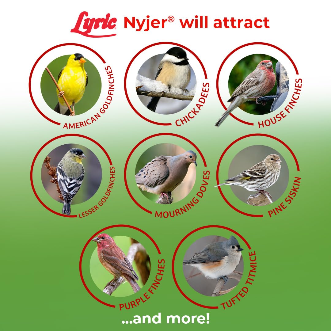 Lyric Nyjer Seed feeder setup demonstrating load into a tube feeder