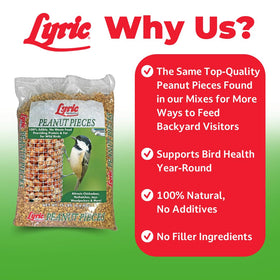 Lyric Peanut Pieces feeder-filled image demonstrates year-round bird nutrition for birdwatchers.