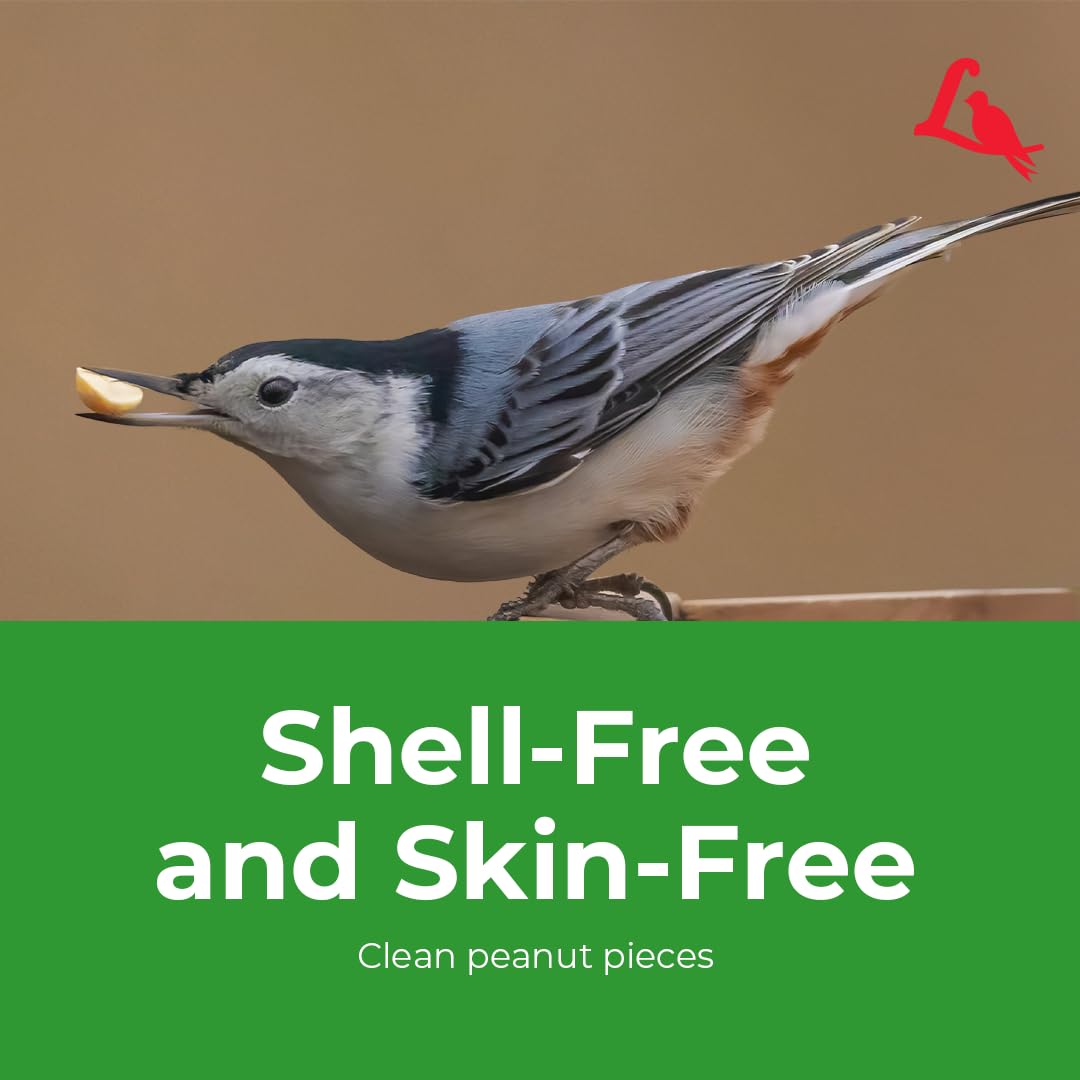 Lyric Peanut Pieces birds flocking image shows diverse songbird appeal.