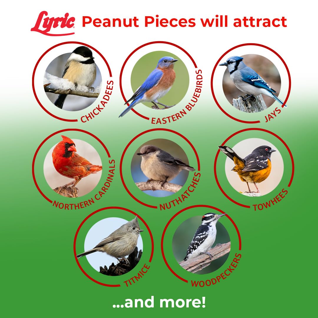 Lyric Peanut Pieces at feeder illustrates squirrel-friendly wildlife.