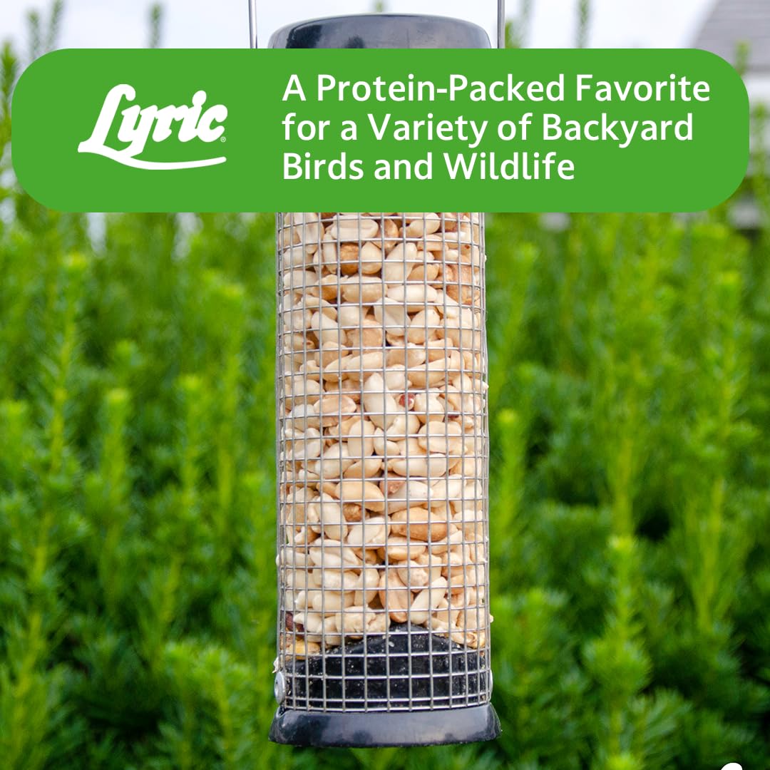 Lyric Peanut Pieces year-round use in any outdoor feeder.