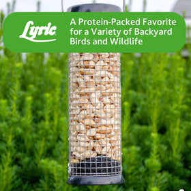 Lyric Peanut Pieces year-round use in any outdoor feeder.