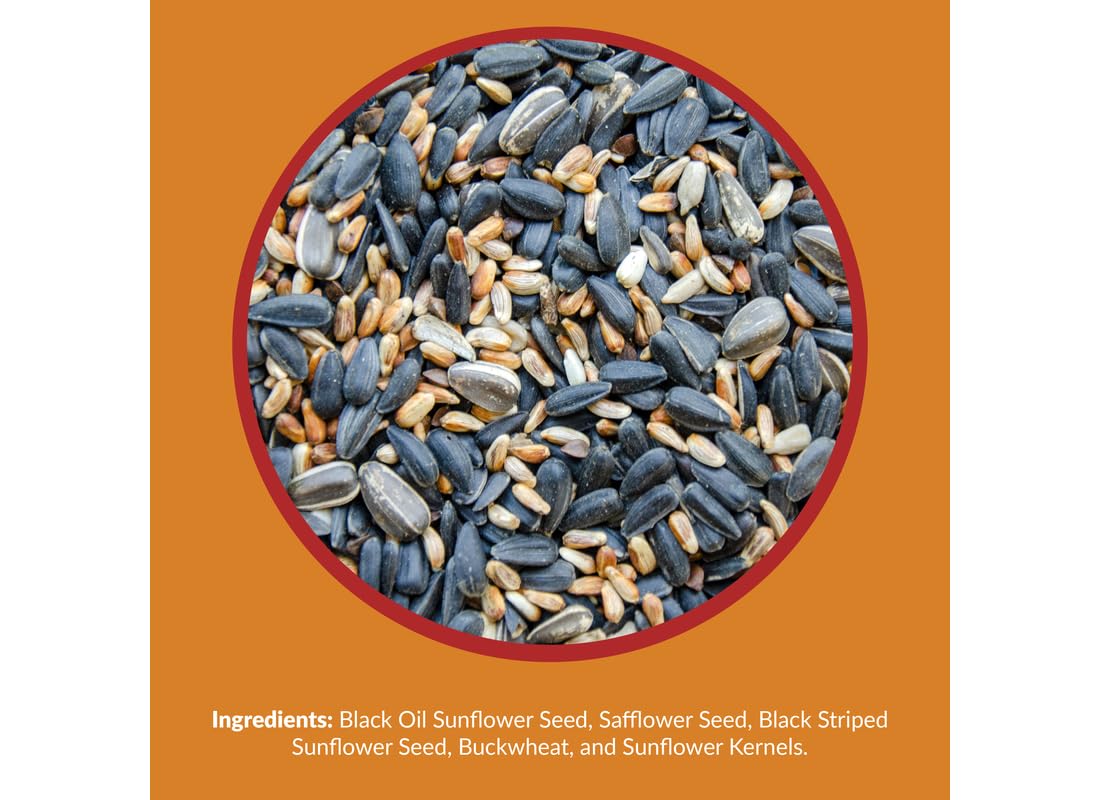 Lyric safflower seed blend detail supports year-round energy for backyard birds.