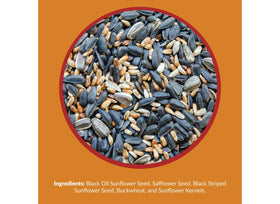 Lyric safflower seed blend detail supports year-round energy for backyard birds.