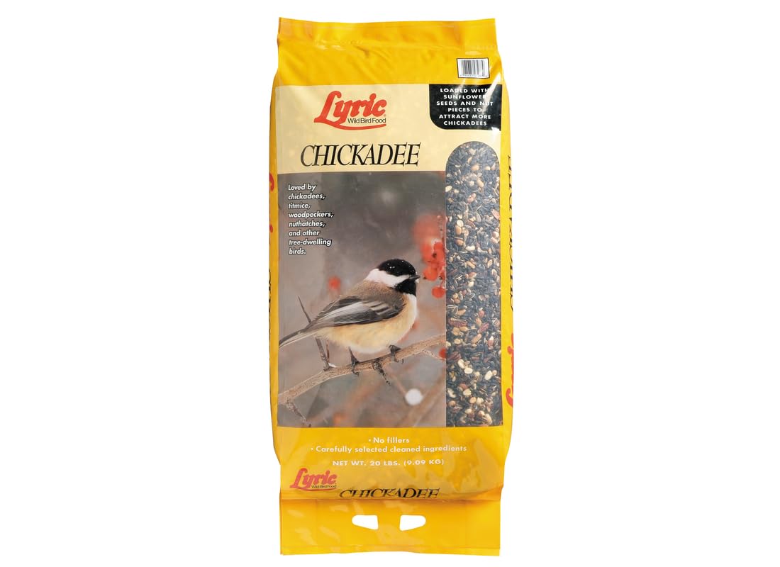 Lyric mix close-up with sunflower kernels for birds at the feeder.