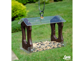 Tube feeder loaded with Lyric seed mix for diverse backyard visitors.
