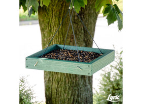 Lyric window feeder close-up showing feeding action and viewing.