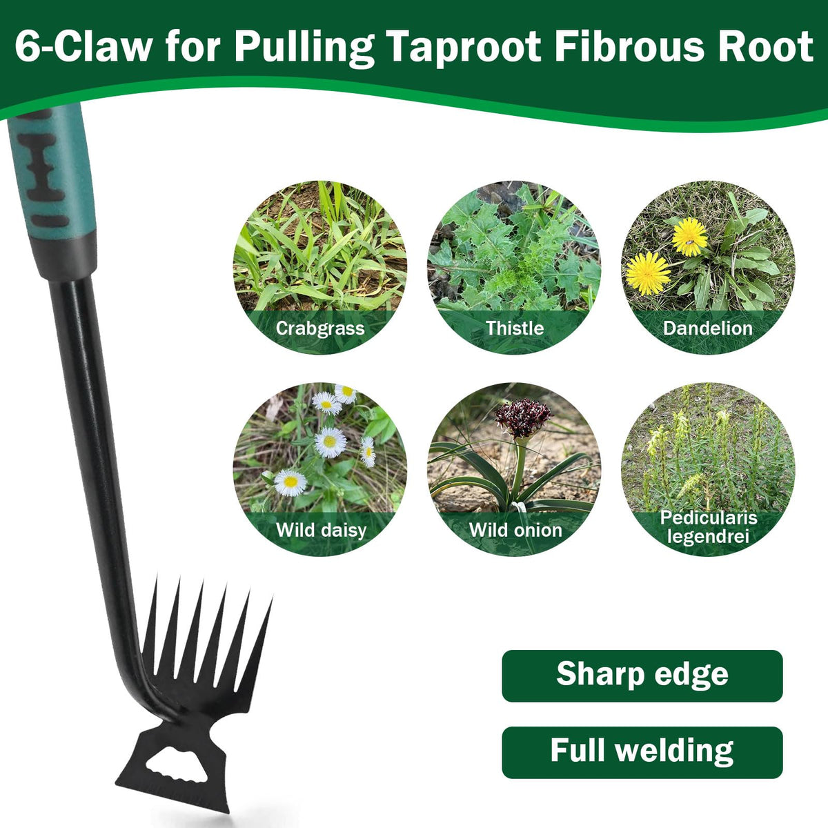  LYROYREG Weed Remover Tool mango largo de 14 pulgadas para alcance cómodo
