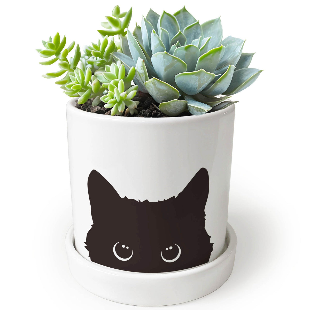 Lzracotz black cat ceramic succulent pot with drainage hole for healthy plants