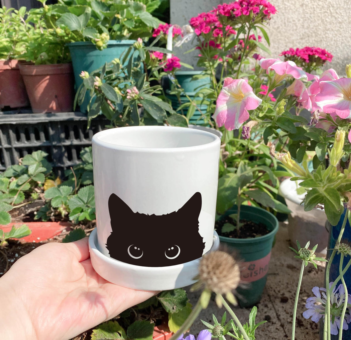 Lzracotz cat plant pot with drainage hole promotes healthy root growth