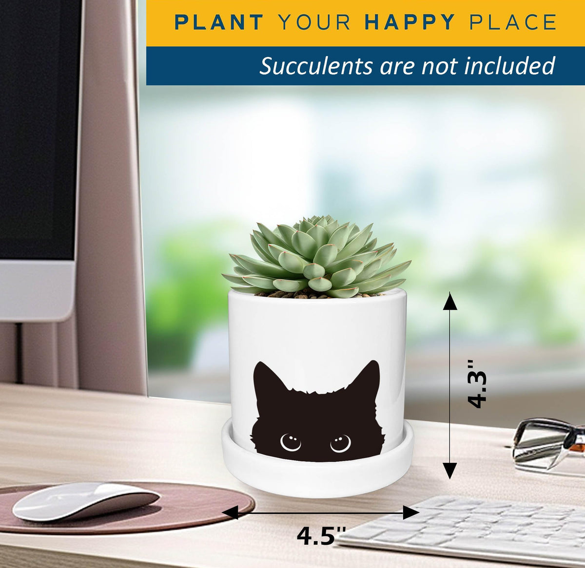 Lzracotz ceramic tray for succulent pot keeps surfaces clean and stylish