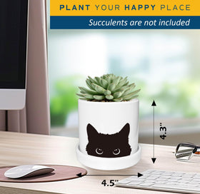 Lzracotz ceramic tray for succulent pot keeps surfaces clean and stylish