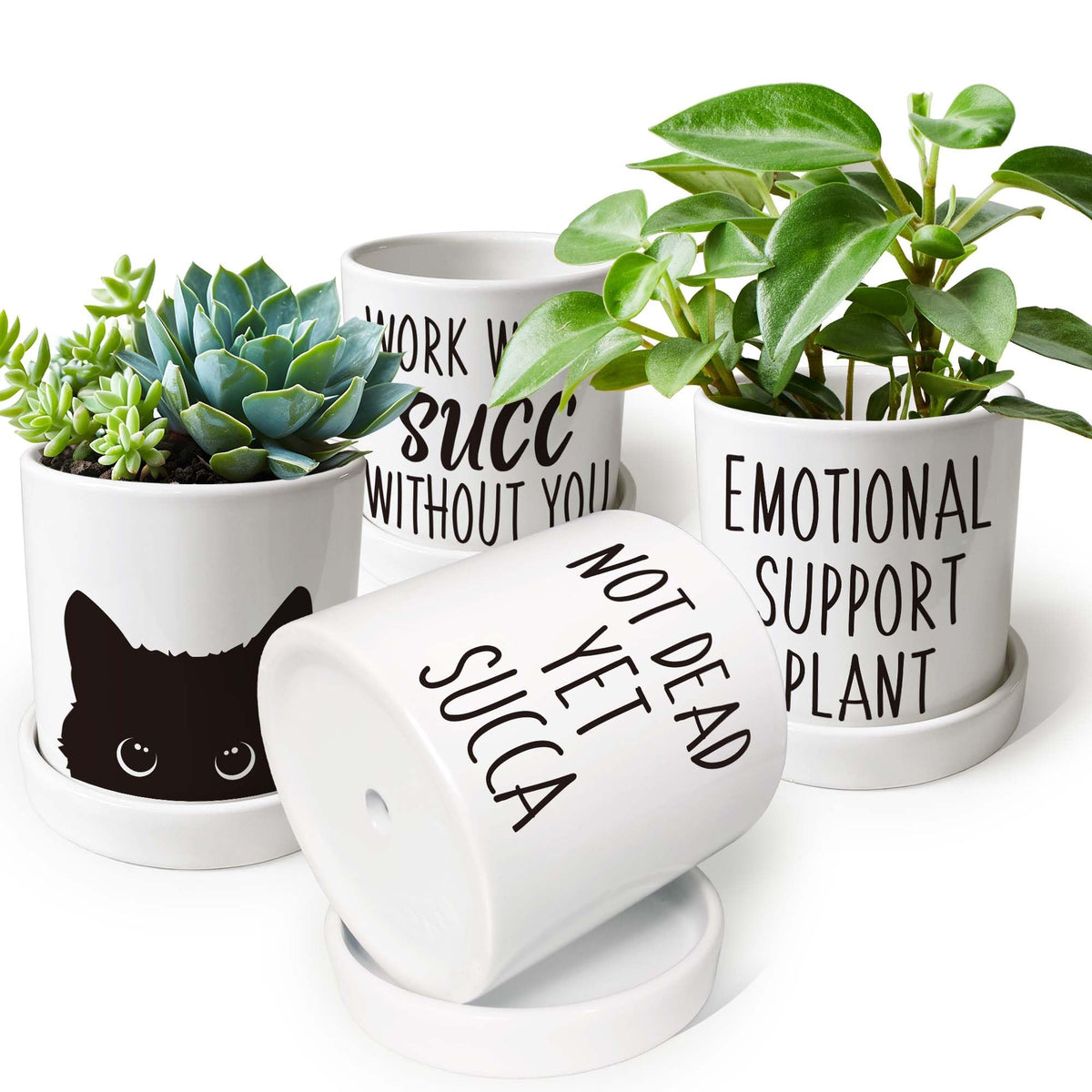 Lzracotz office-friendly cat planter boosts room personality