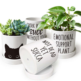 Lzracotz office-friendly cat planter boosts room personality
