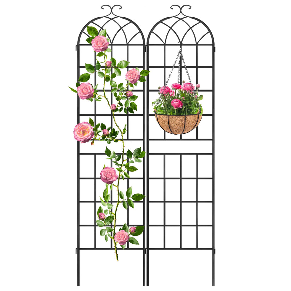 LZRS 2-pack 83x20in rustic iron arch trellis supports roses outdoors