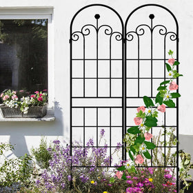 LZRS easy-assembly rose trellis with screws for quick setup