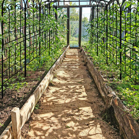 Easy-install rose trellis setup for garden use