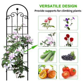LZRS rose-climbing trellis supporting climbing roses and vines