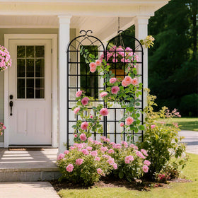 LZRS rose trellis 83in tall provides sturdy support for ivy and vines