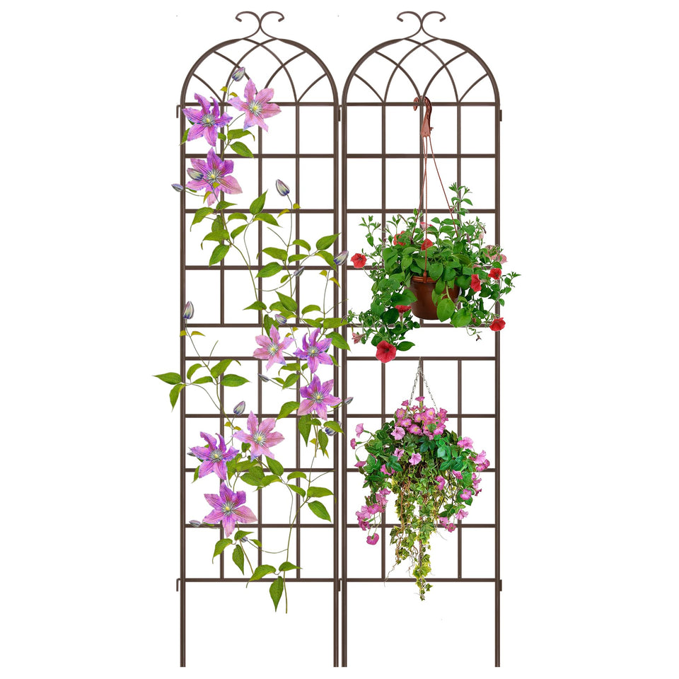 LZRS rustic iron arch trellis two-pack set for outdoor installation and plant support