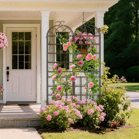 LZRS rust-resistant coating on brown arch trellis withstands weather