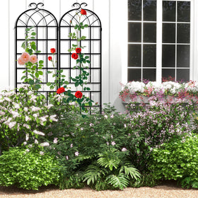 LZRS versatile trellis fits pots and garden borders for display