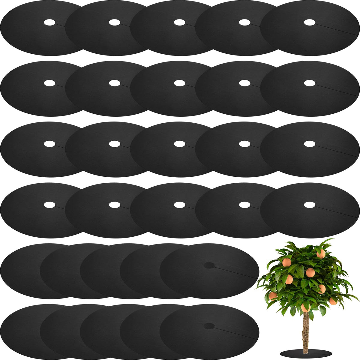 Macarrie mulch rings with 42 cm outer diameter provide weed suppression in garden beds.