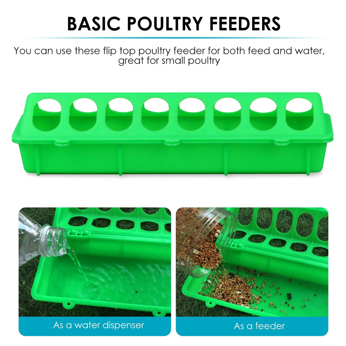 MACGOAL brooder-ready feeder keeps chicks fed safely and neatly.