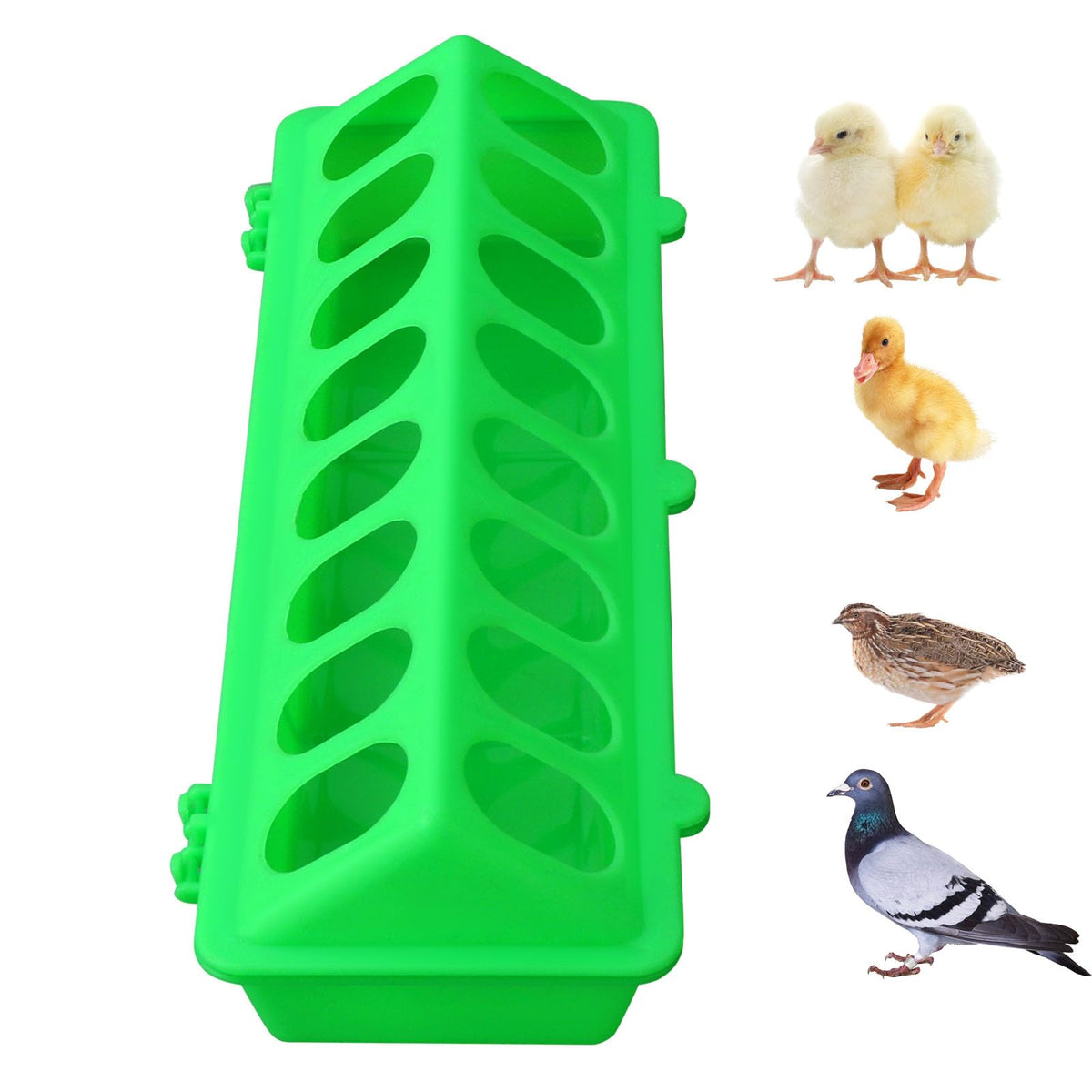 MACGOAL flip-top chick feeder in action outdoors reduces waste.