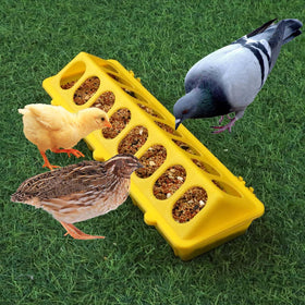 MACGOAL yellow lid-open view, easy access for chicks.