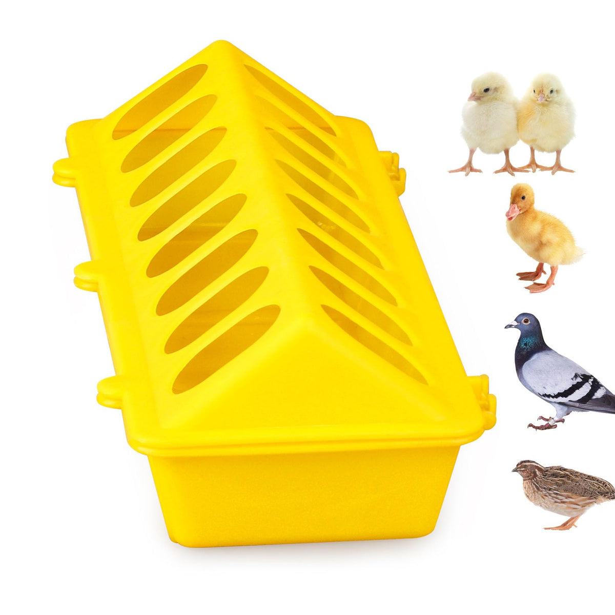 Safe design with no sharp edges, MACGOAL yellow feeder.