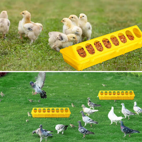 Small-poultry feeder by MACGOAL, prevents mess and waste.