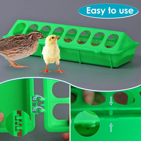 MACGOAL compact feeder fits chickens, quails, pigeons without crowding.