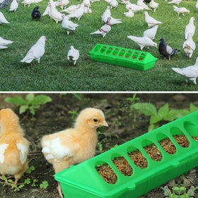 MACGOAL waste-free feeder prevents feed spillage for small chicks.