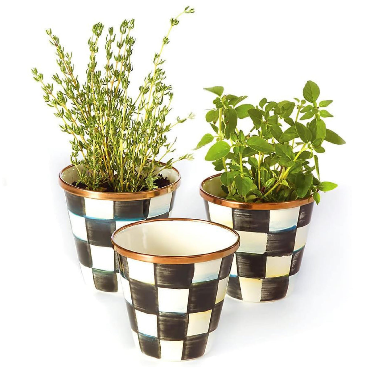 MacKenzie-Childs enamel herb pots set of 3 on a sunlit windowsill for fresh herbs.