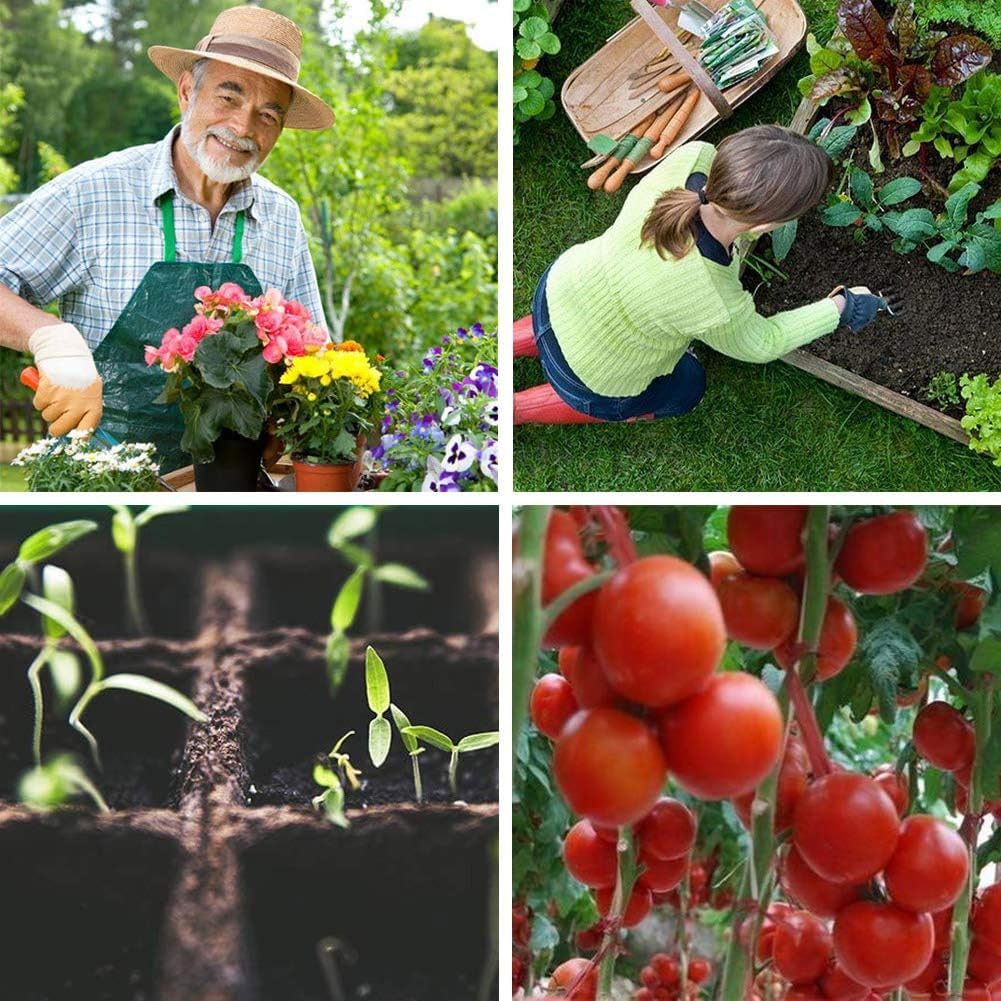 Macoya seed starter kit adjustable vents offer precise environment control