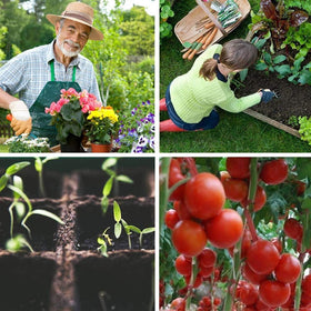 Macoya seed starter kit adjustable vents offer precise environment control