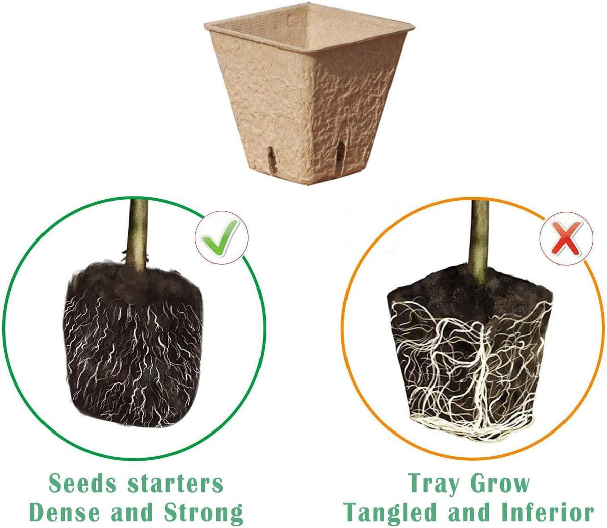 Macoya plastic growing trays organize seedlings and simplify watering