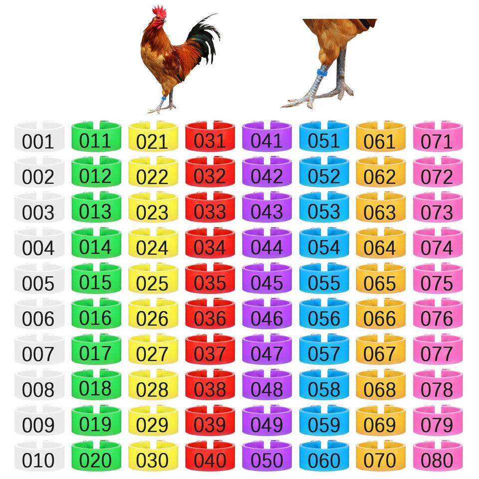 Macuezu 80-piece chicken leg bands with numbered IDs for clear flock labeling