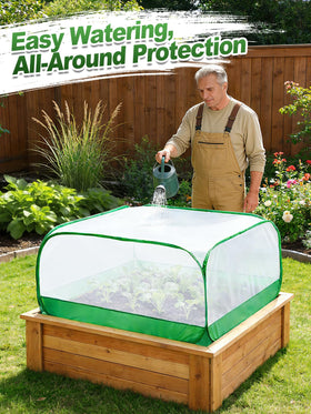 MADHOLLY green-white netting over kale and broccoli promotes healthy growth.