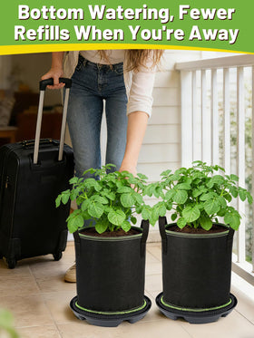 MADHOLLY heavy-duty 5-gallon grow bags resist wear for mature plants