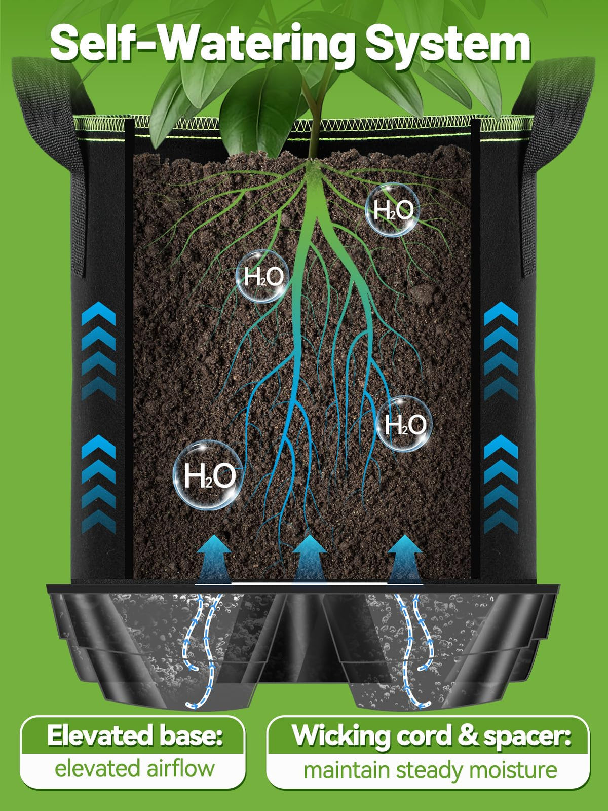 MADHOLLY reservoir saucer base prevents spills during watering