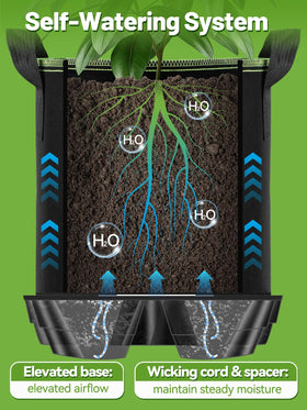 MADHOLLY reservoir saucer base prevents spills during watering