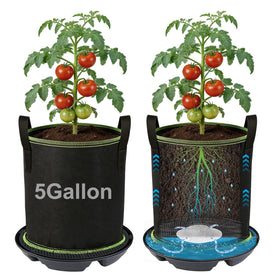 MADHOLLY self-watering pots indoor 2-pack maintain soil moisture with minimal effort