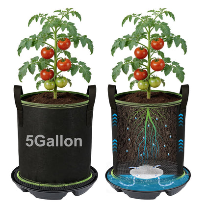 MADHOLLY self-watering pots indoor 2-pack maintain soil moisture with minimal effort
