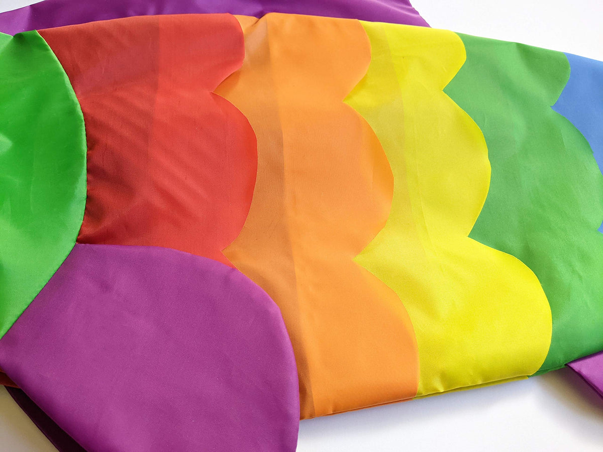 Colorful layered rainbow fish design for coastal appeal