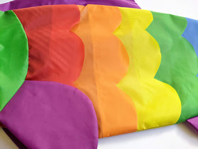 Colorful layered rainbow fish design for coastal appeal